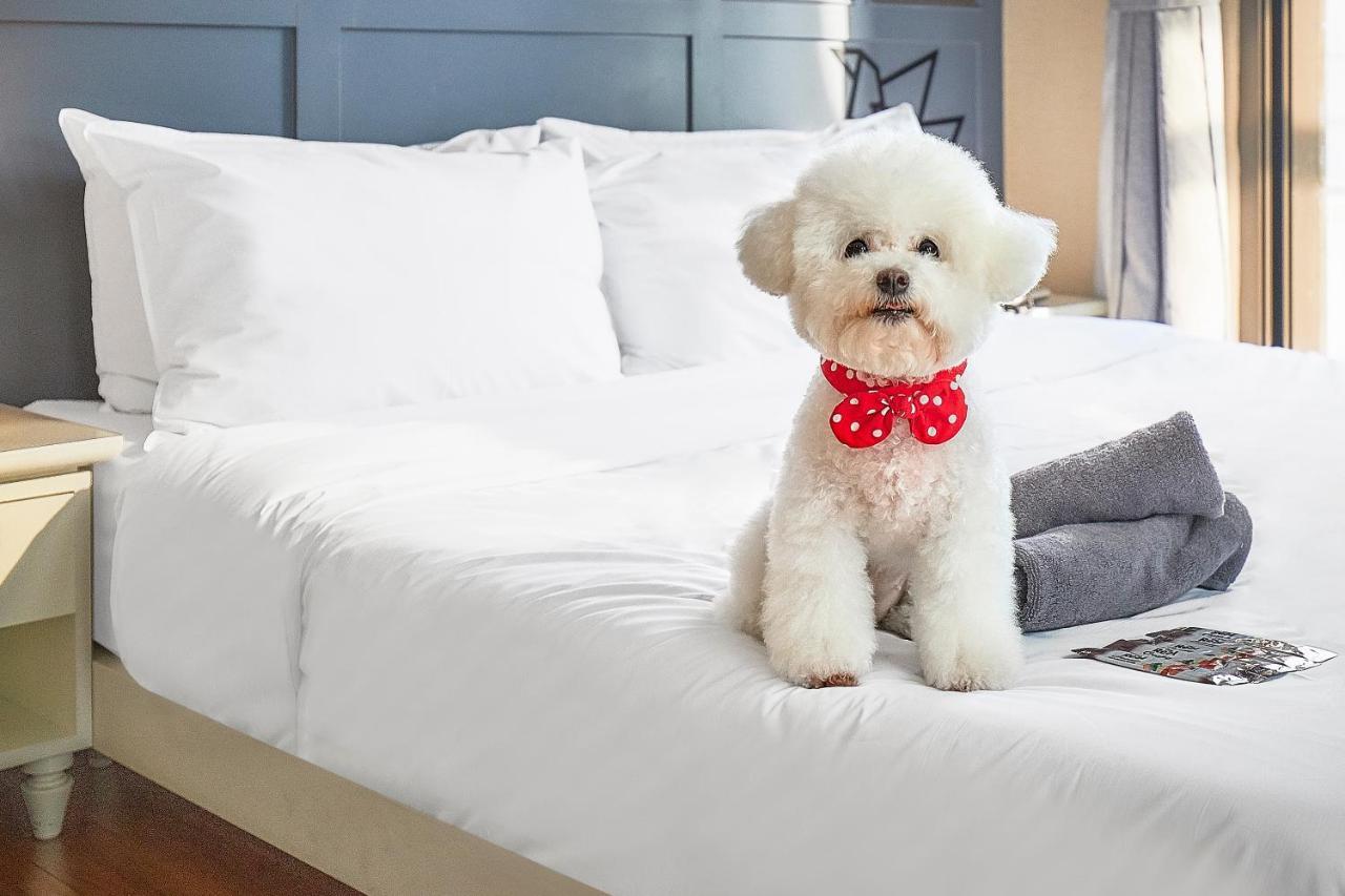 Hotel Poco Seongsu Сеул Экстерьер фото